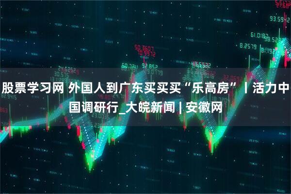 股票学习网 外国人到广东买买买“乐高房”丨活力中国调研行_大皖新闻 | 安徽网