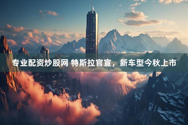 专业配资炒股网 特斯拉官宣，新车型今秋上市