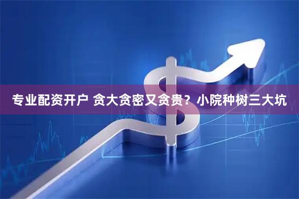 专业配资开户 贪大贪密又贪贵？小院种树三大坑